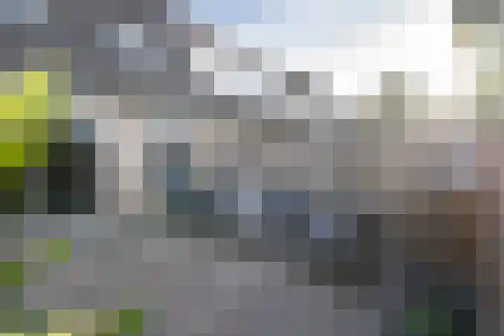 Vlierbeshof 6 Papendrecht thumbnail 31