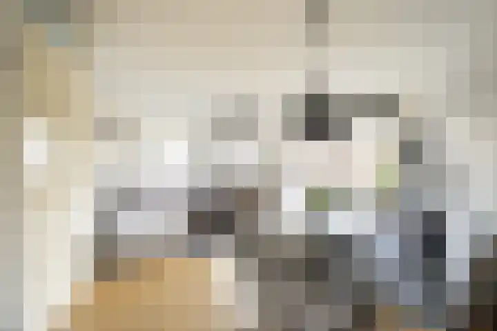 Vlierbeshof 6 Papendrecht thumbnail 6