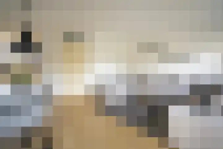 Vlierbeshof 6 Papendrecht thumbnail 7