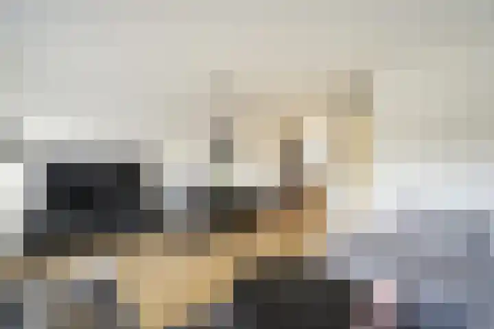 Vlierbeshof 6 Papendrecht thumbnail 8