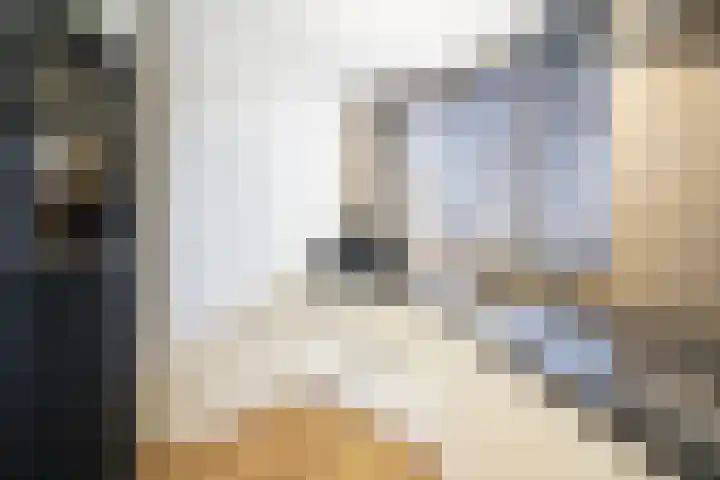 Vlierbeshof 6 Papendrecht thumbnail 9