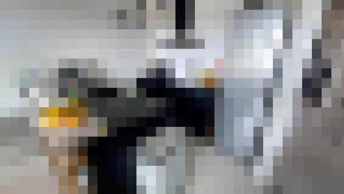 Vlierbespad 19 Ede thumbnail 5