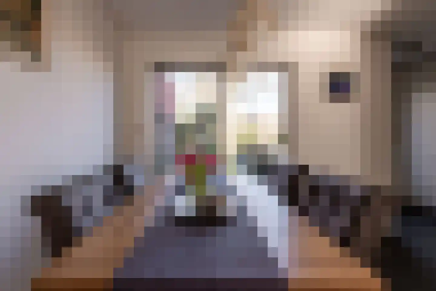 Vlierbessenlaan 13 Apeldoorn thumbnail 10