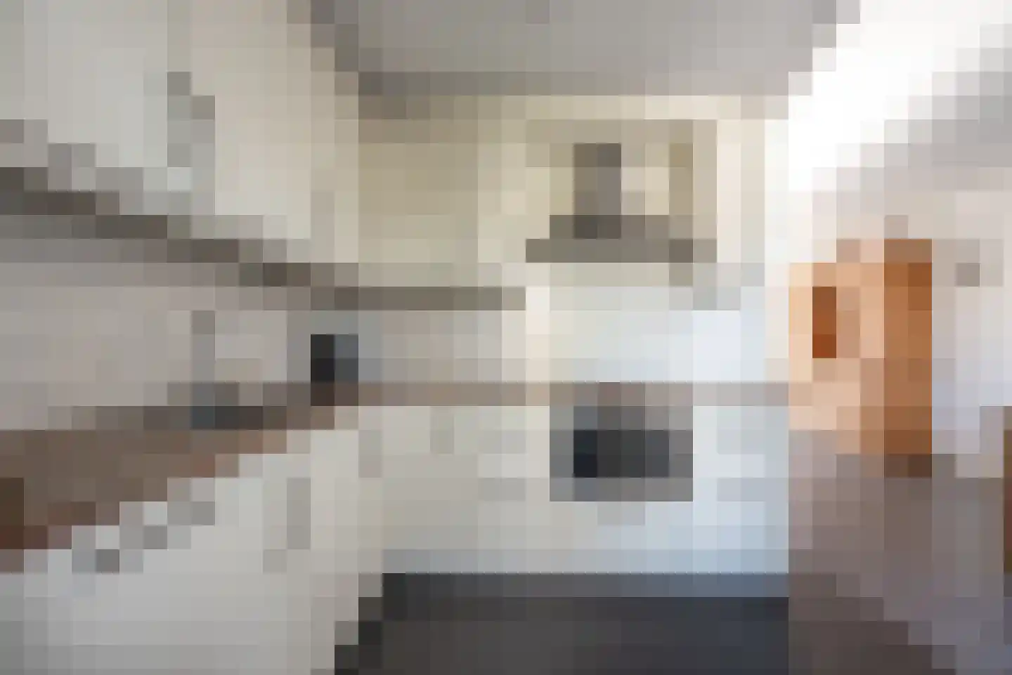 Vlierbessenlaan 13 Apeldoorn thumbnail 15