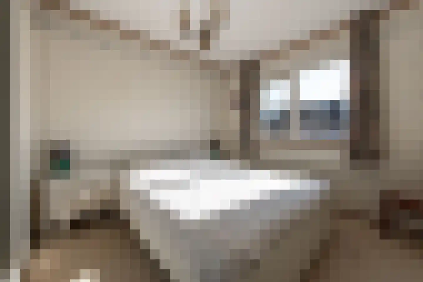 Vlierbessenlaan 13 Apeldoorn thumbnail 16