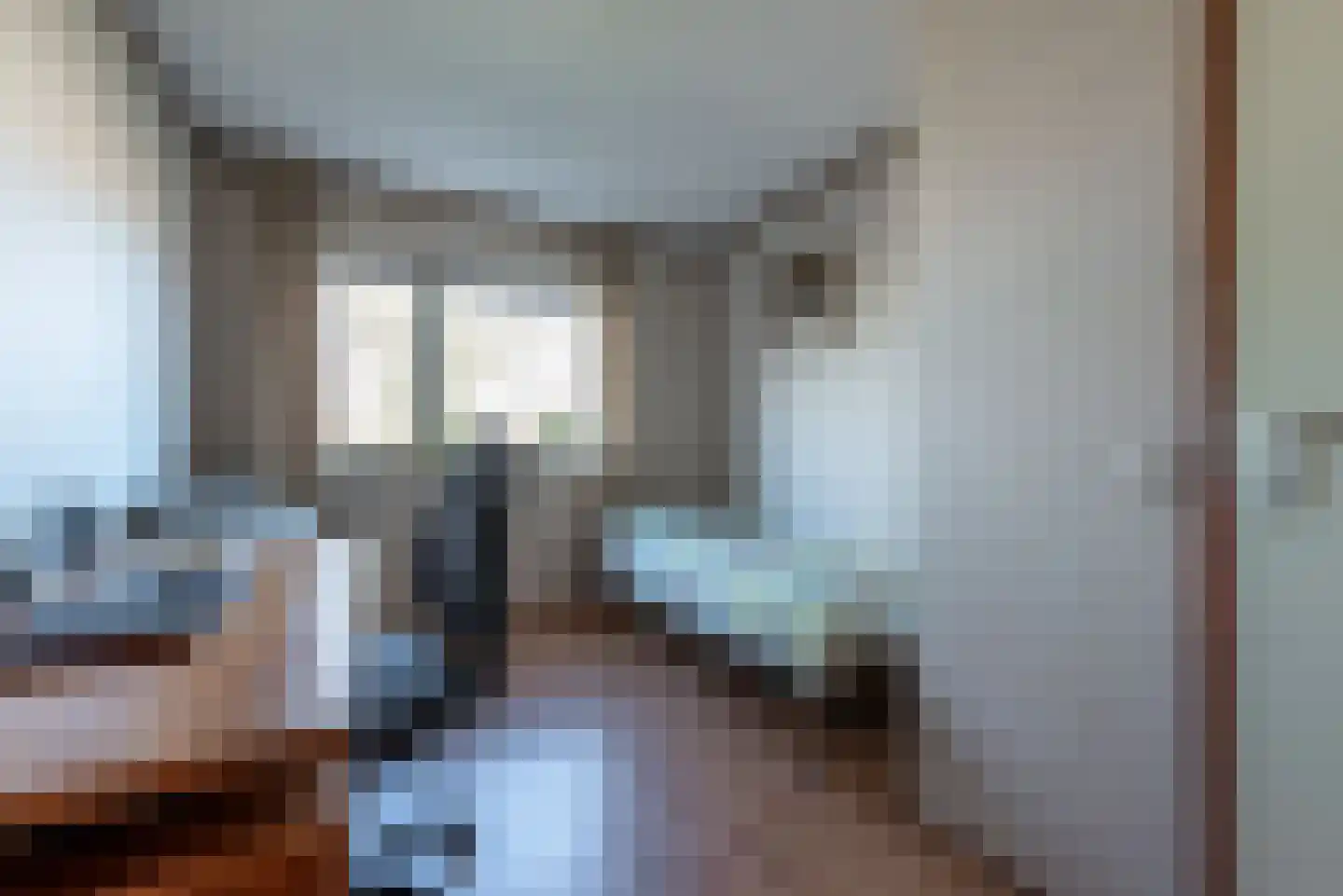 Vlierbessenlaan 13 Apeldoorn thumbnail 20