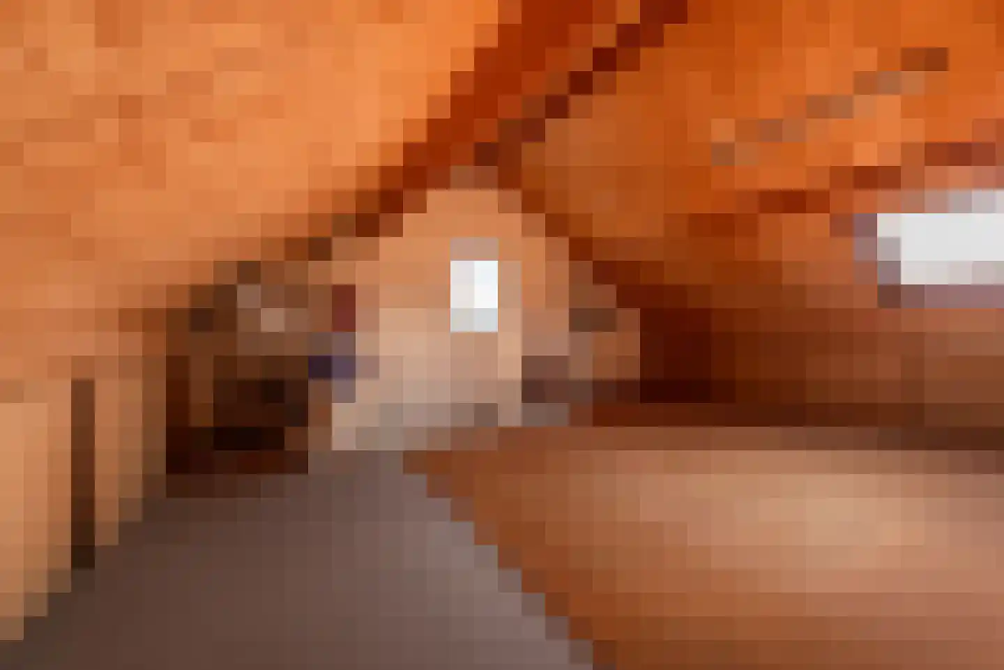 Vlierbessenlaan 13 Apeldoorn thumbnail 27