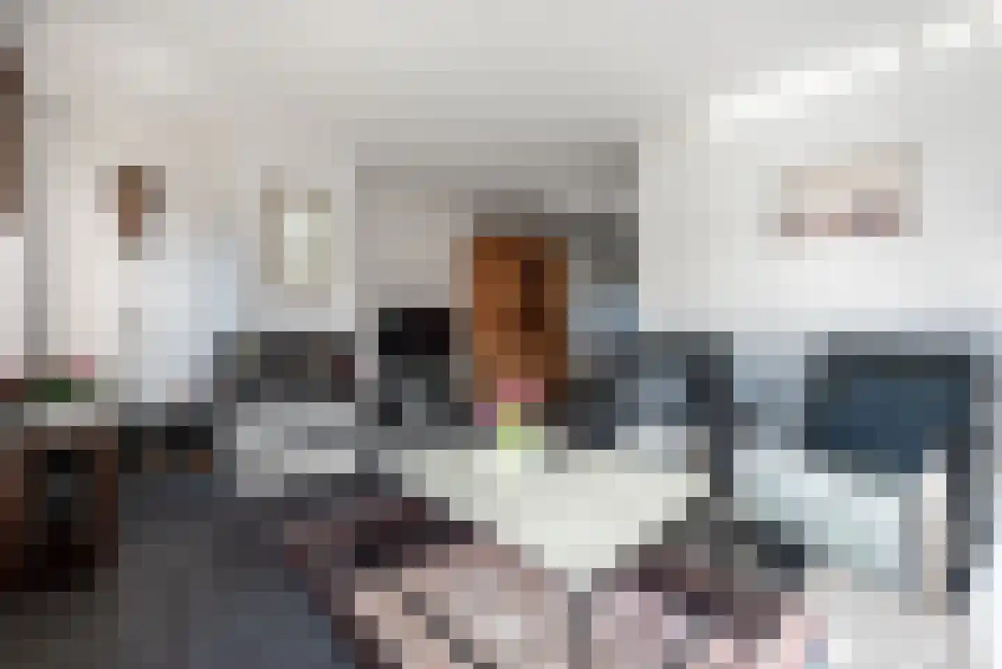 Vlierbessenlaan 13 Apeldoorn thumbnail 8