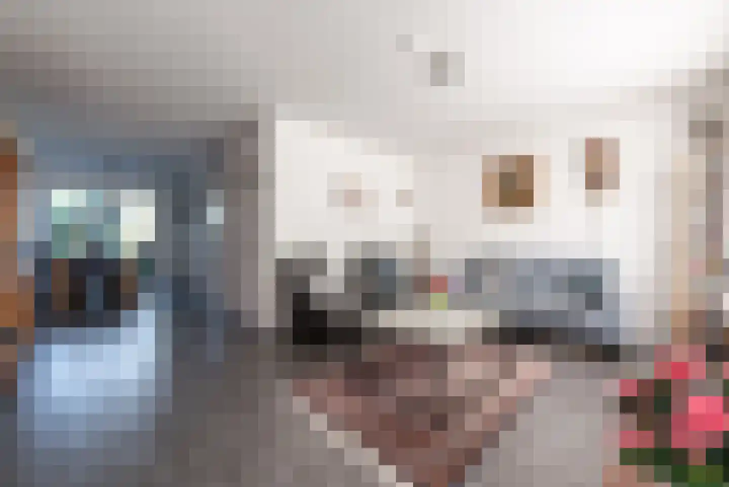 Vlierbessenlaan 13 Apeldoorn thumbnail 9