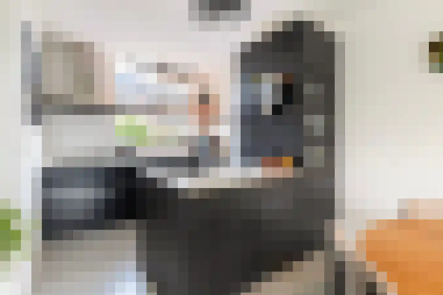 Vlierbessenlaan 31 Apeldoorn thumbnail 11