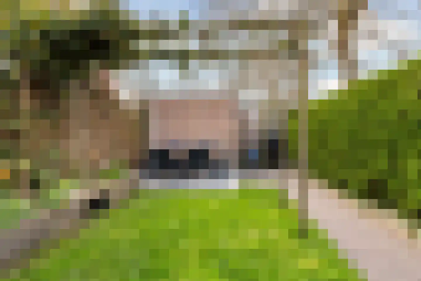 Vlierbessenlaan 31 Apeldoorn thumbnail 15