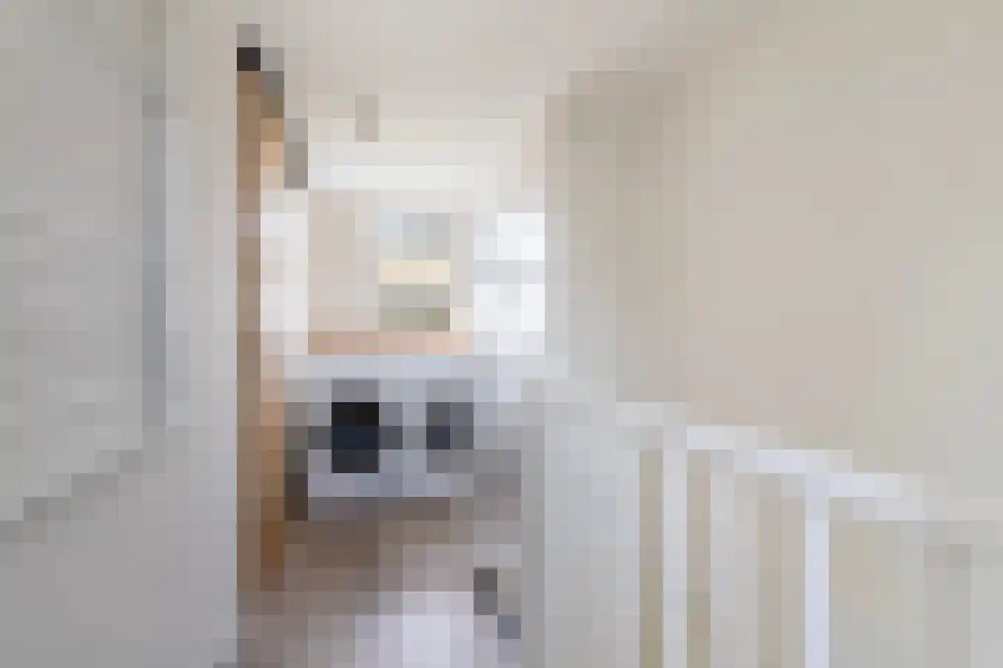 Vlierbessenlaan 31 Apeldoorn thumbnail 24