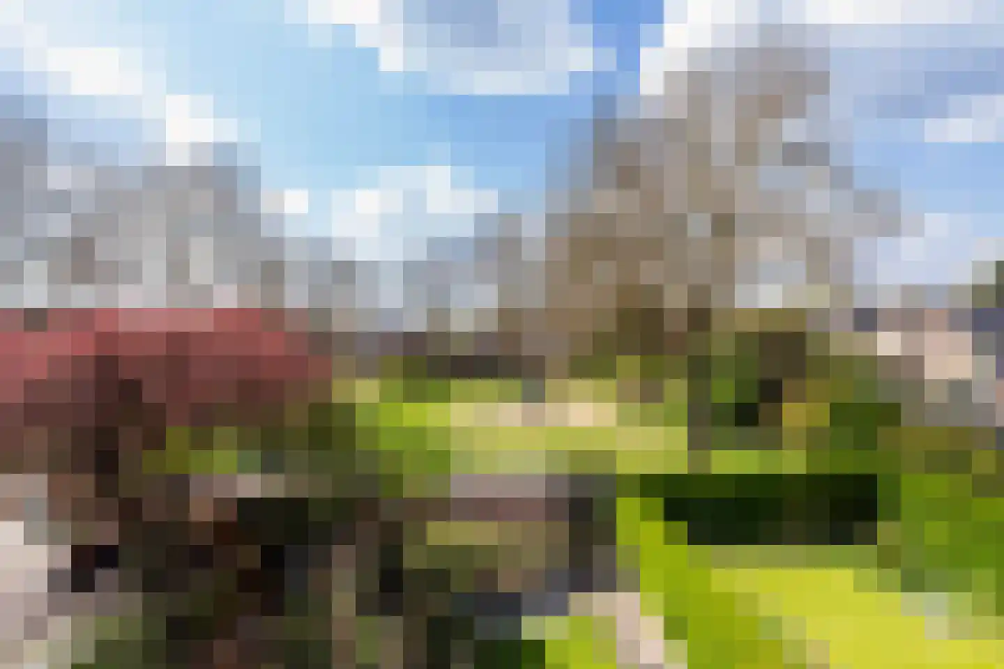 Vlierbessenlaan 31 Apeldoorn thumbnail 28