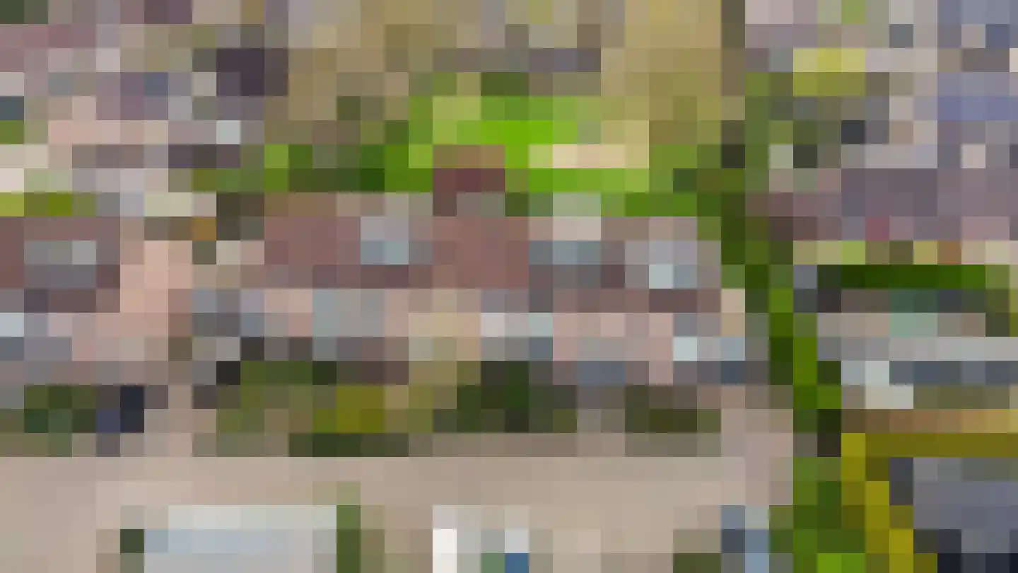 Vlierbessenlaan 31 Apeldoorn thumbnail 33