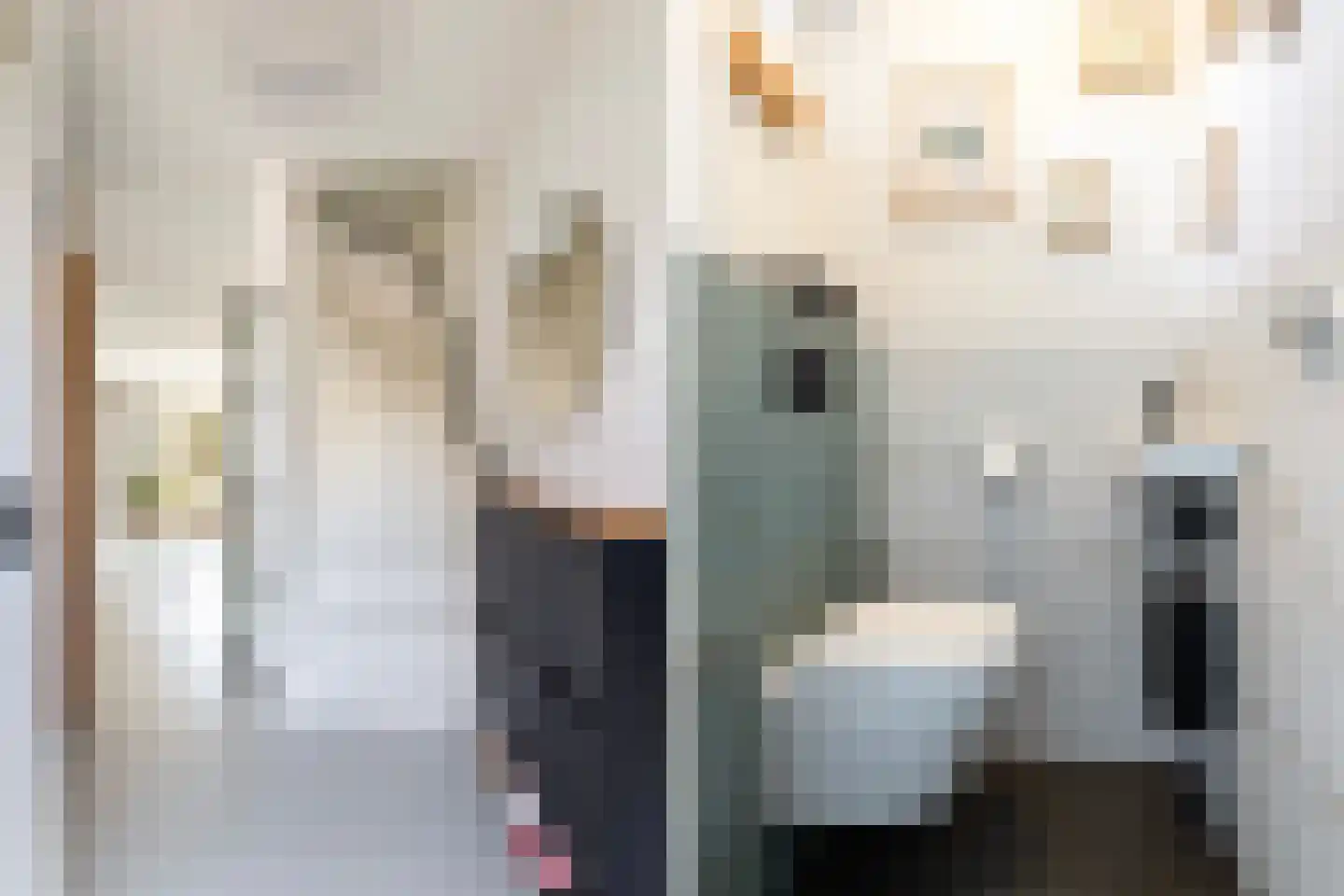 Vlierbessenlaan 31 Apeldoorn thumbnail 4