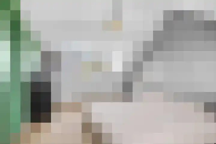 Vlierbessenlaan 4 Apeldoorn thumbnail 21