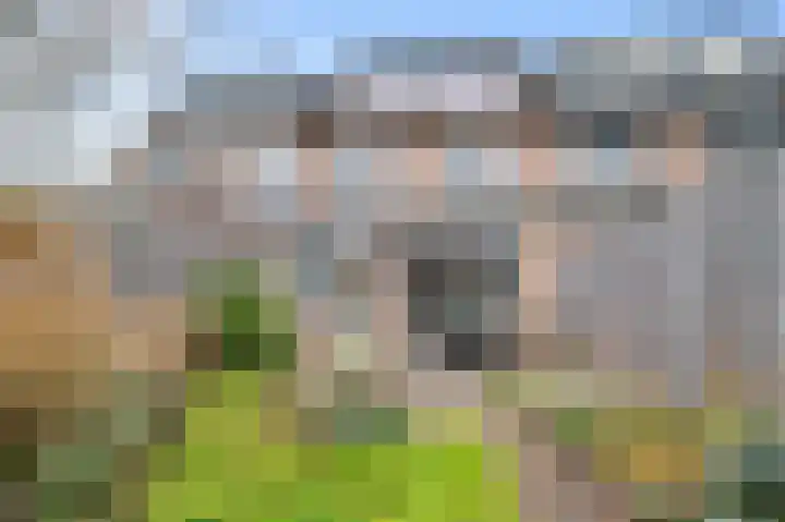 Vlierbessenlaan 4 Apeldoorn thumbnail 23