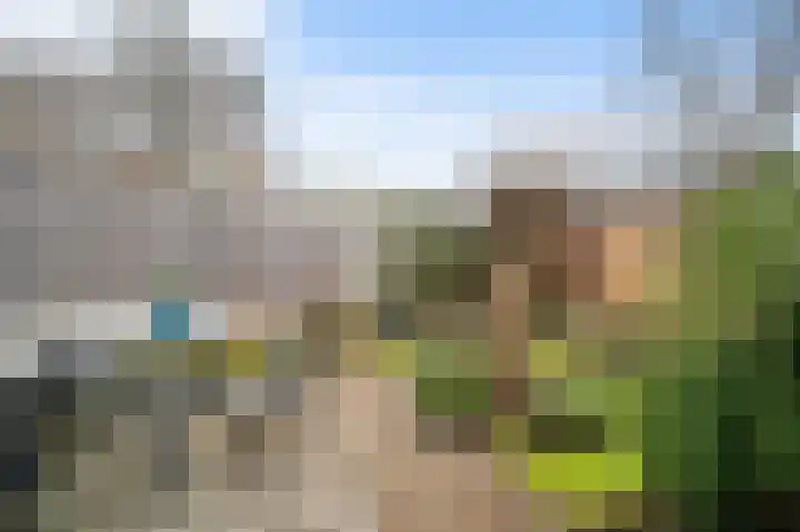 Vlierbessenlaan 4 Apeldoorn thumbnail 24
