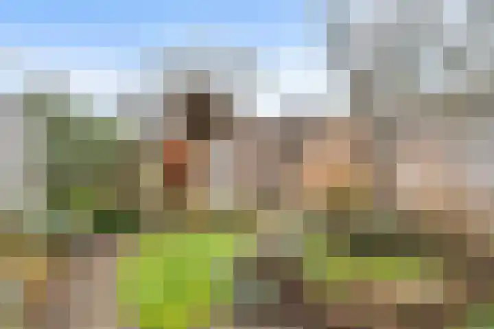 Vlierbessenlaan 4 Apeldoorn thumbnail 25