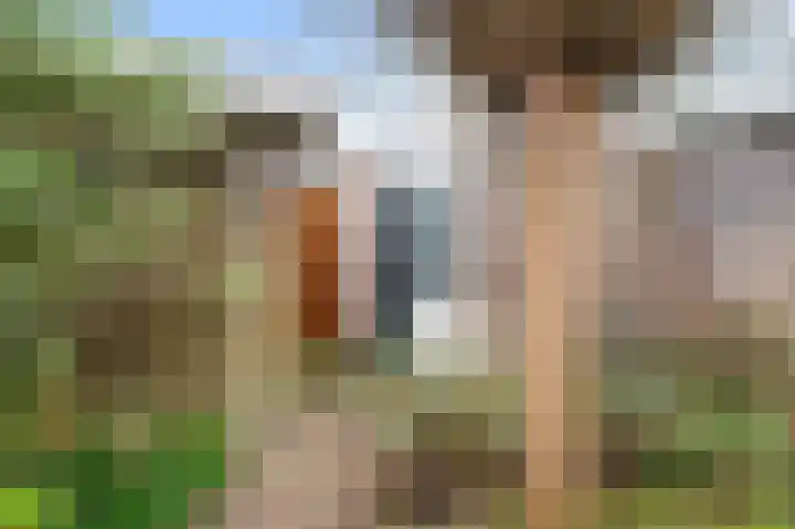 Vlierbessenlaan 4 Apeldoorn thumbnail 26