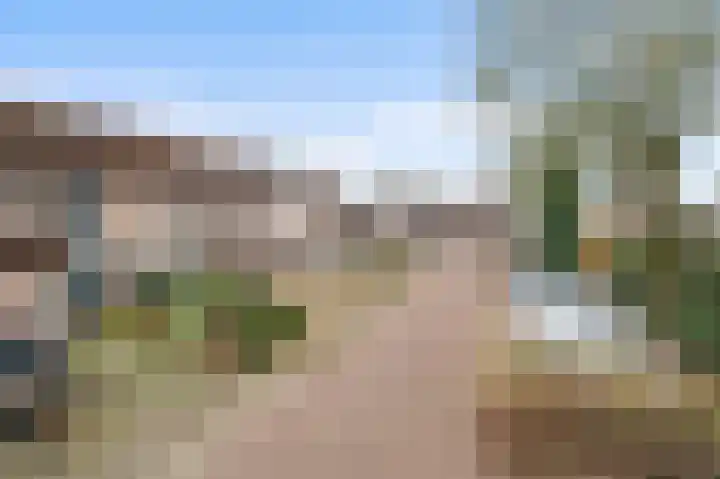 Vlierbessenlaan 4 Apeldoorn thumbnail 28