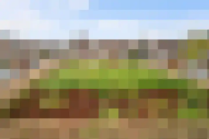 Vlierbessenlaan 4 Apeldoorn thumbnail 30