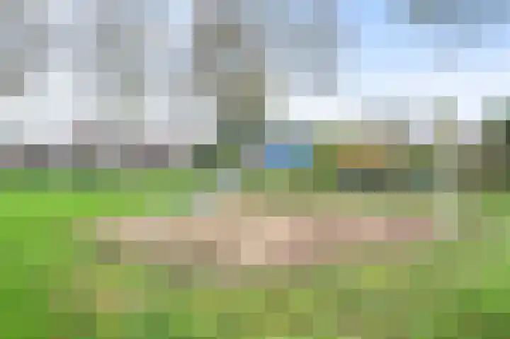 Vlierbessenlaan 4 Apeldoorn thumbnail 31