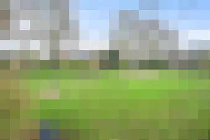 Vlierbessenlaan 4 Apeldoorn thumbnail 32