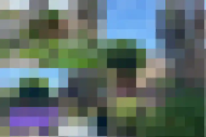Vlierbessenlaan 4 Apeldoorn thumbnail 33