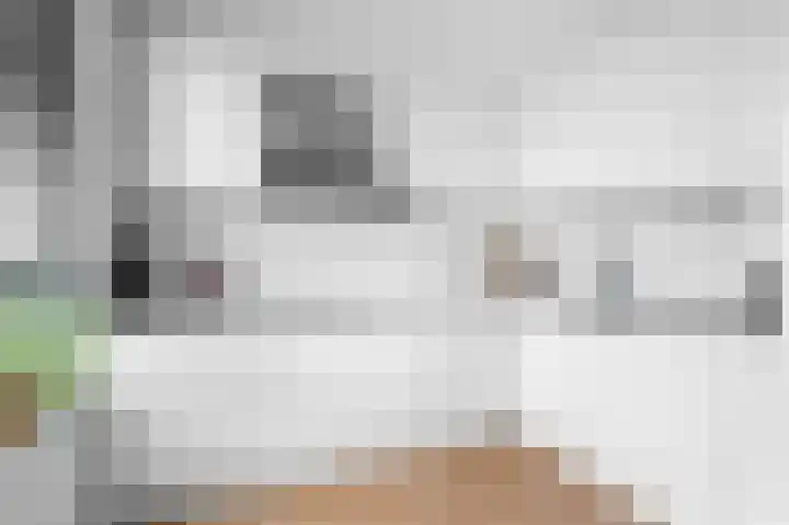 Vlierbessenlaan 4 Apeldoorn thumbnail 7