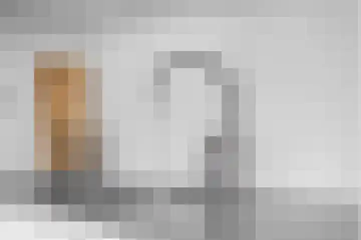 Vlierbessenlaan 4 Apeldoorn thumbnail 8