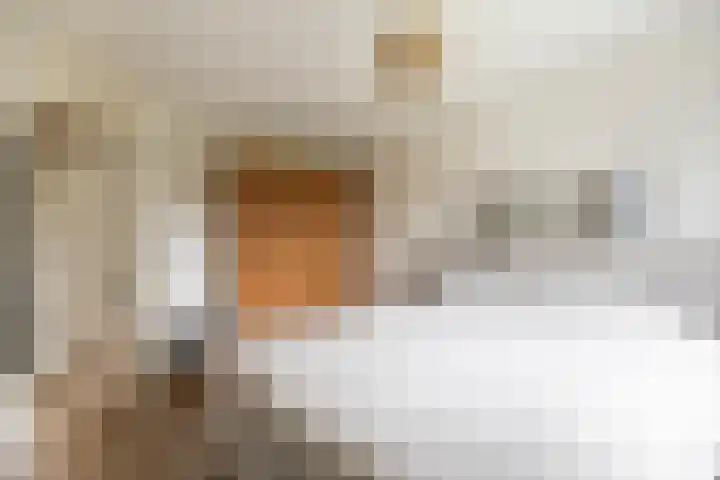 Vlierbessenlaan 57 Apeldoorn thumbnail 15