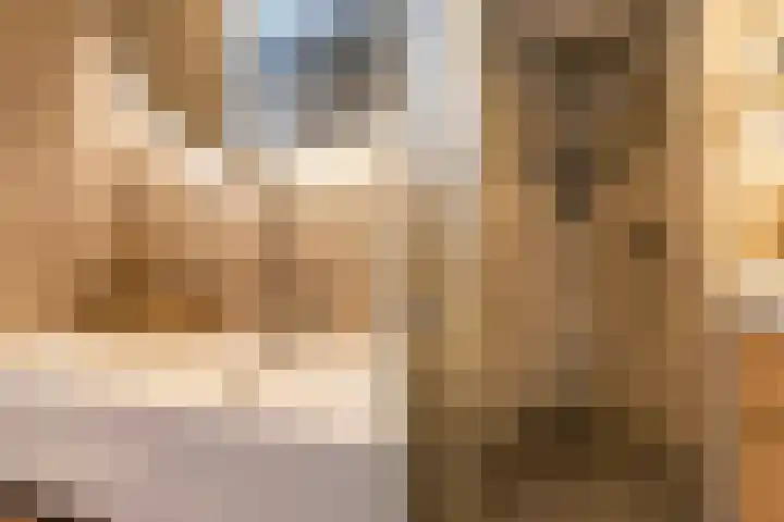 Vlierbessenlaan 57 Apeldoorn thumbnail 19