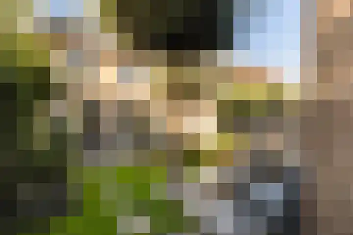Vlierbessenlaan 57 Apeldoorn thumbnail 22