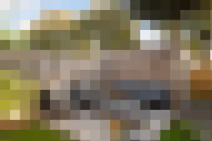 Vlierbessenlaan 57 Apeldoorn thumbnail 23