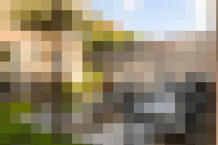 Vlierbessenlaan 57 Apeldoorn thumbnail 24