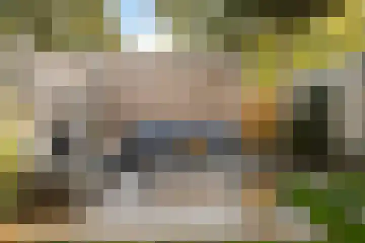 Vlierbessenlaan 57 Apeldoorn thumbnail 25
