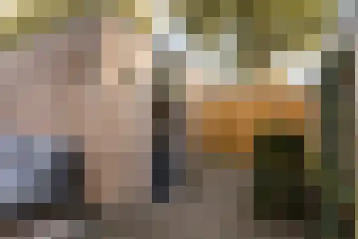 Vlierbessenlaan 57 Apeldoorn thumbnail 28
