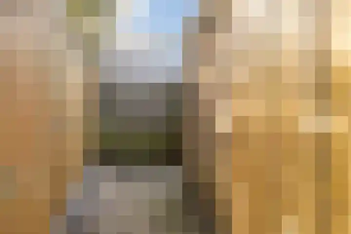 Vlierbessenlaan 57 Apeldoorn thumbnail 29