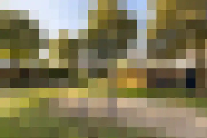 Vlierbessenlaan 57 Apeldoorn thumbnail 31