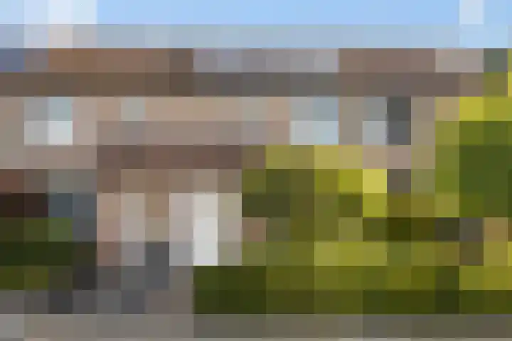 Vlierbessenlaan 57 Apeldoorn thumbnail 32