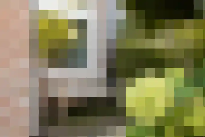 Vlierbessenlaan 57 Apeldoorn thumbnail 33