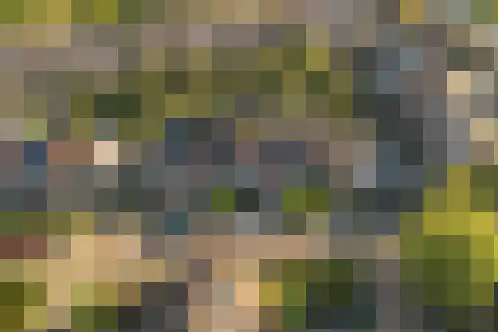 Vlierbessenlaan 57 Apeldoorn thumbnail 34