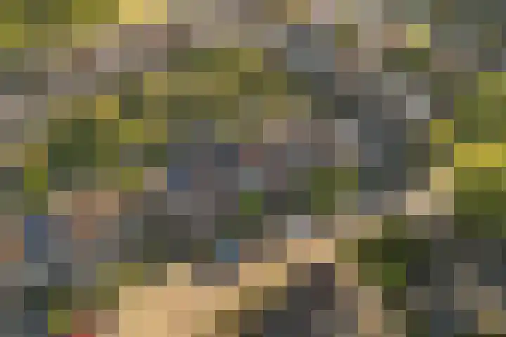 Vlierbessenlaan 57 Apeldoorn thumbnail 35
