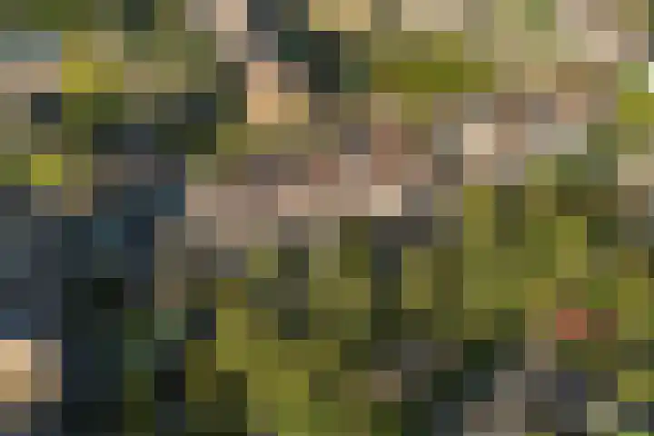 Vlierbessenlaan 57 Apeldoorn thumbnail 37