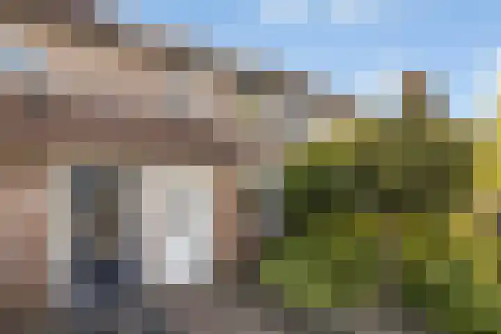 Vlierbessenlaan 57 Apeldoorn thumbnail 4
