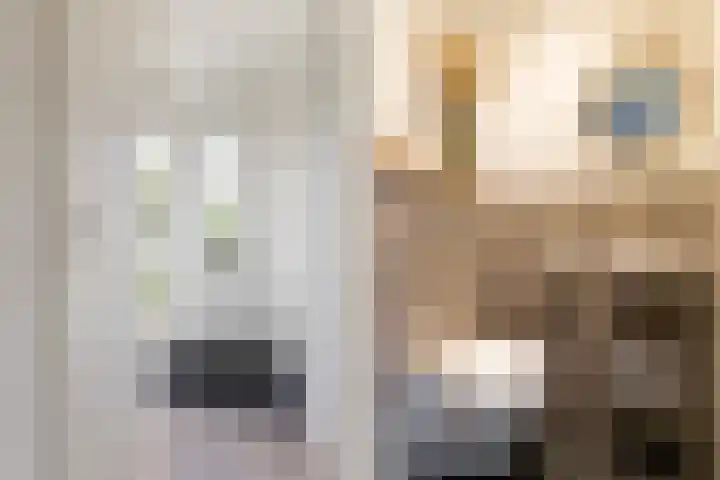 Vlierbessenlaan 57 Apeldoorn thumbnail 6