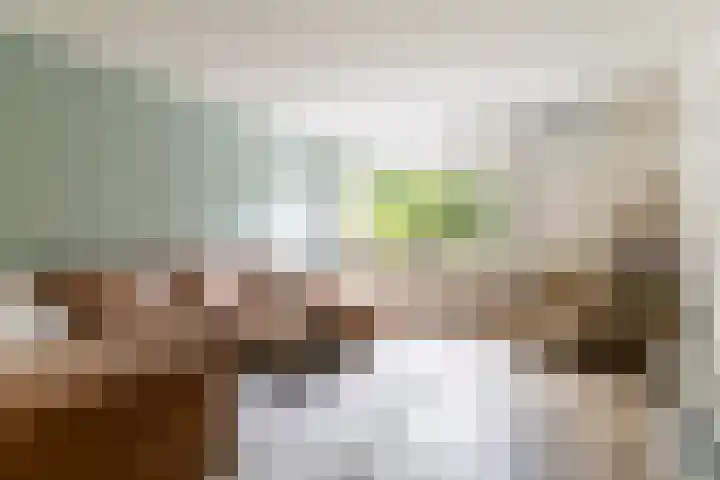 Vlierbessenlaan 57 Apeldoorn thumbnail 7
