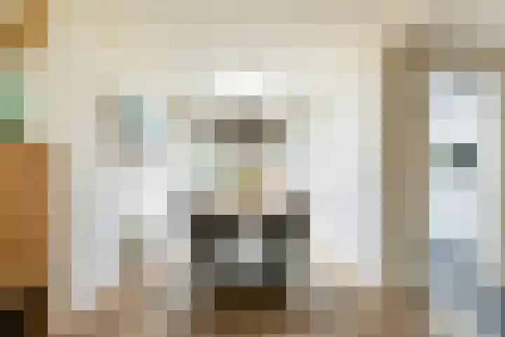 Vlierbessenlaan 57 Apeldoorn thumbnail 8