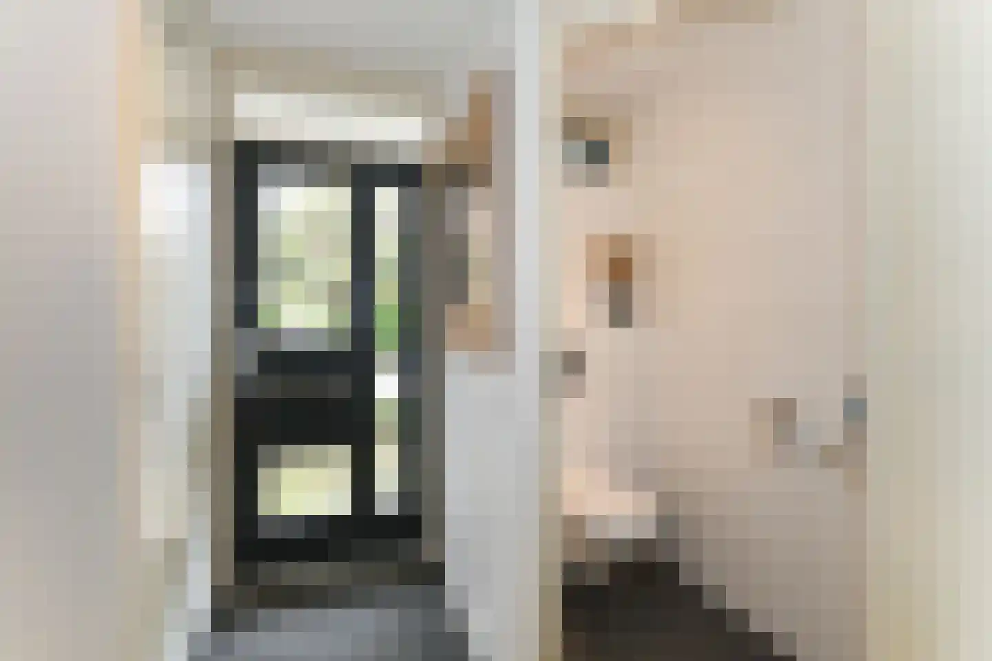 Vlierbessenstraat 4 Rockanje thumbnail 16